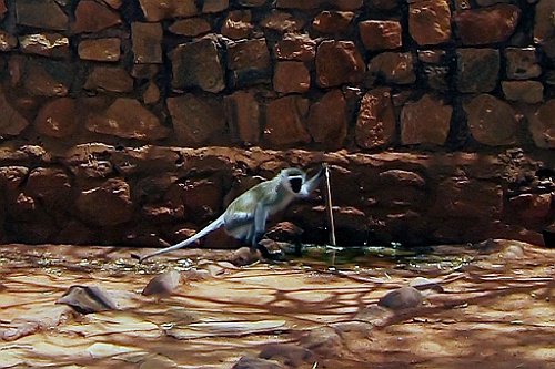 Kenia (280)